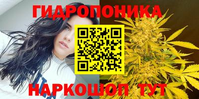 spice Можайск