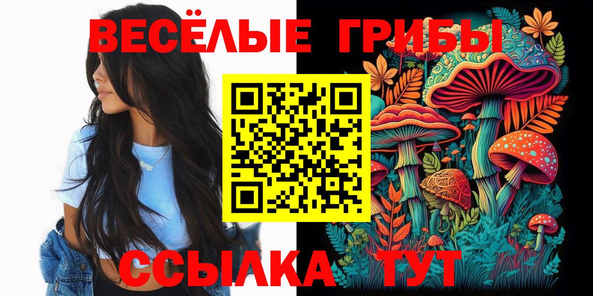 Советск  Псилоцибиновые грибы Cubensis  Вход с VPN  Галлюциногенные грибы мухоморы 