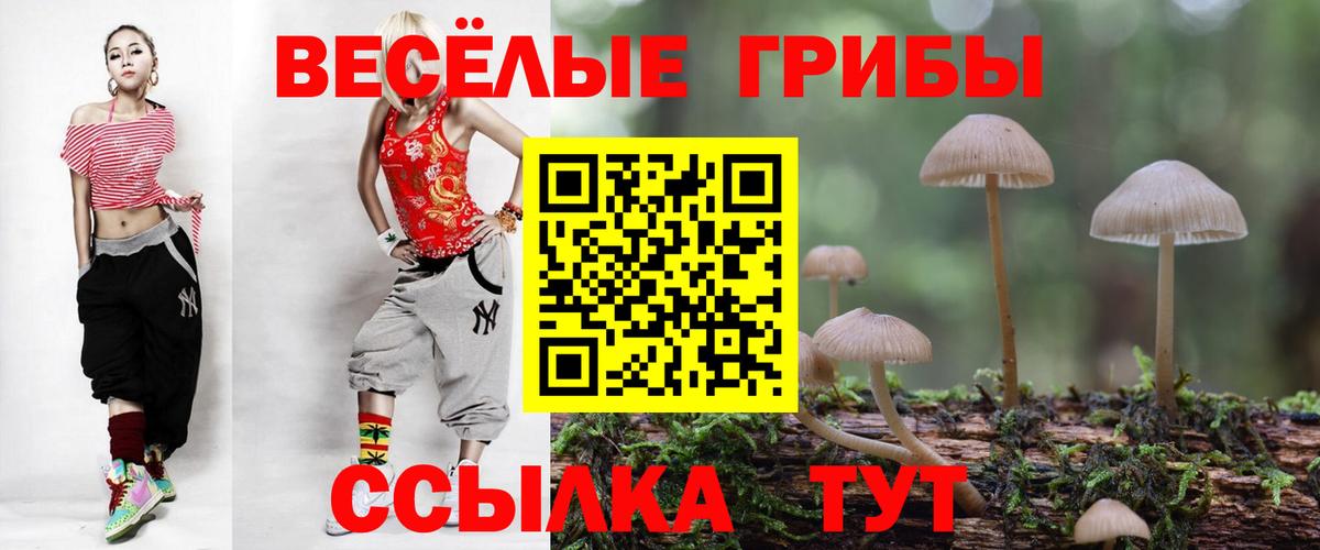 Галлюциногенные грибы Psilocybe Советск